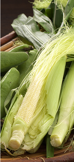 野菜